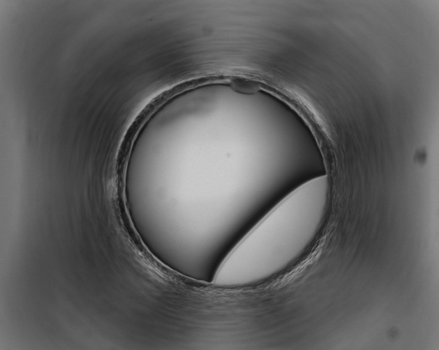 X0000100750924200806190819