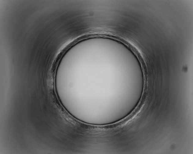 X0000100750925200806190819