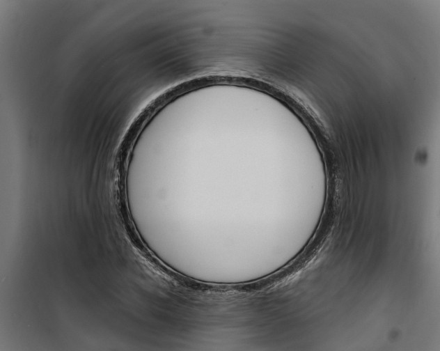 X0000100750926200806190819