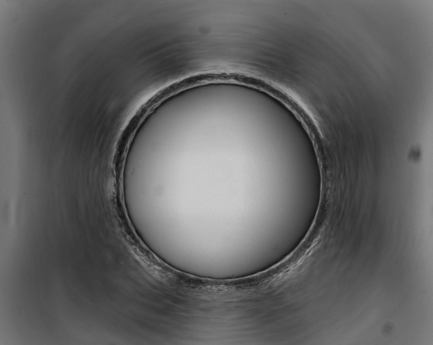 X0000100750927200806190819