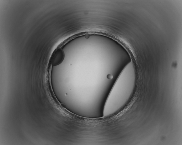 X0000100750928200806190819