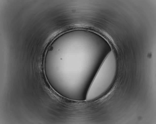 X0000100750930200806190819