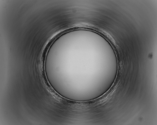 X0000100750931200806190819