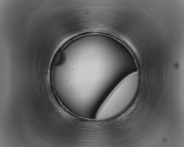 X0000100750932200806190819