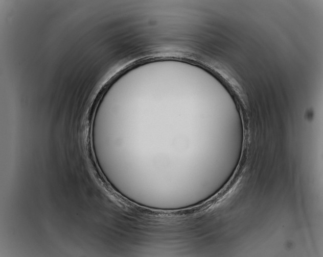 X0000100750933200806190819