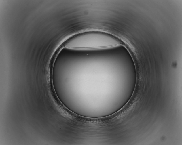 X0000100750934200806190819