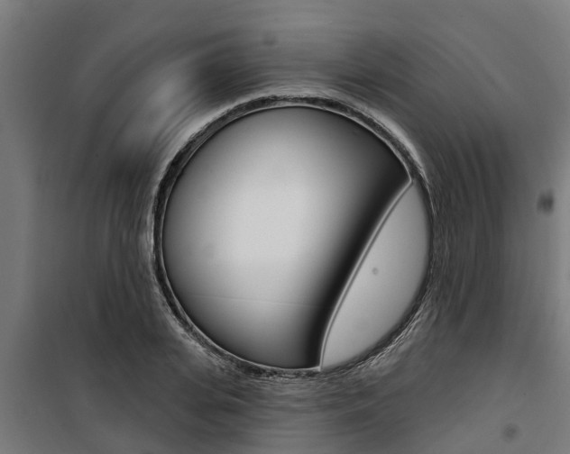 X0000100750935200806190819