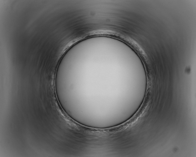X0000100750937200806190819