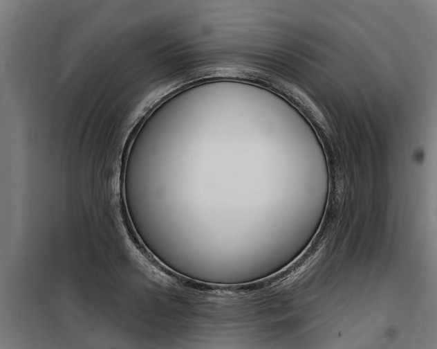 X0000100750938200806190819