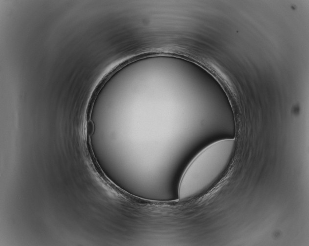 X0000100750940200806190819