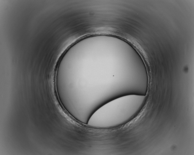 X0000100750941200806190819