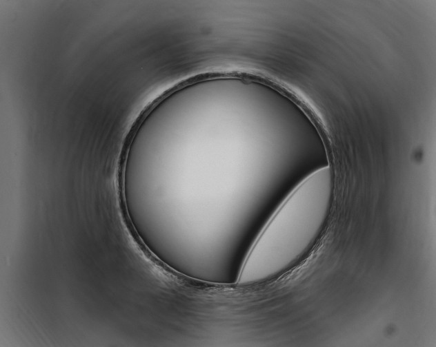 X0000100750943200806190819