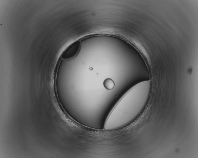X0000100750944200806190819
