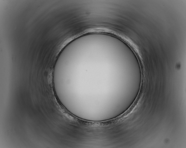 X0000100750945200806190819