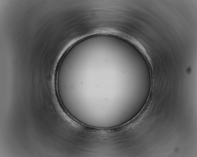 X0000100750947200806190819