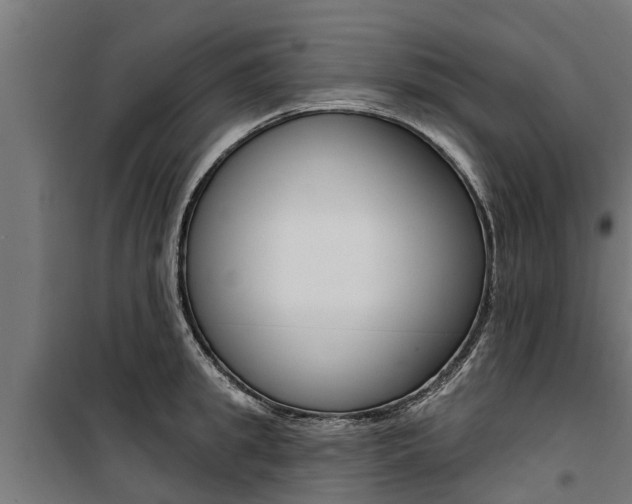 X0000100750949200806190819