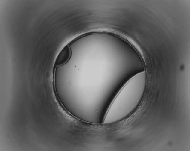 X0000100750951200806190820