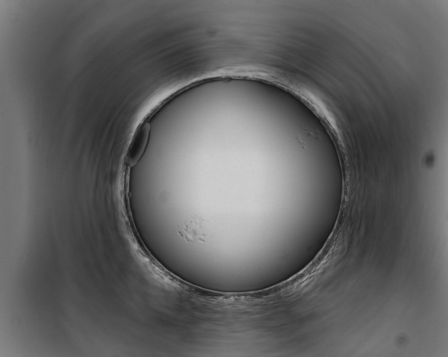 X0000100750952200806190820