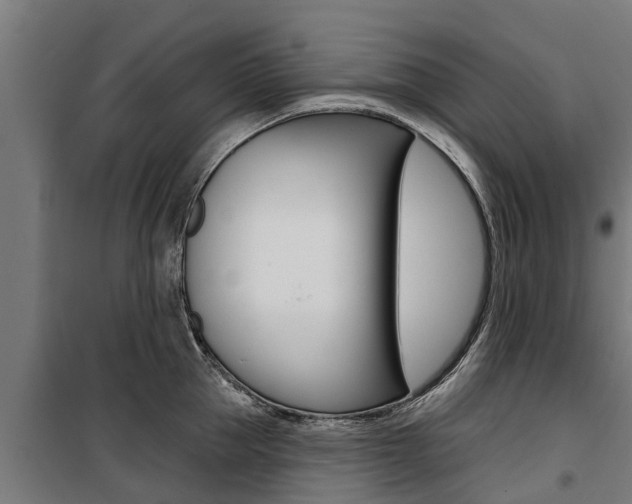 X0000100750953200806190820