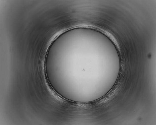 X0000100750954200806190820