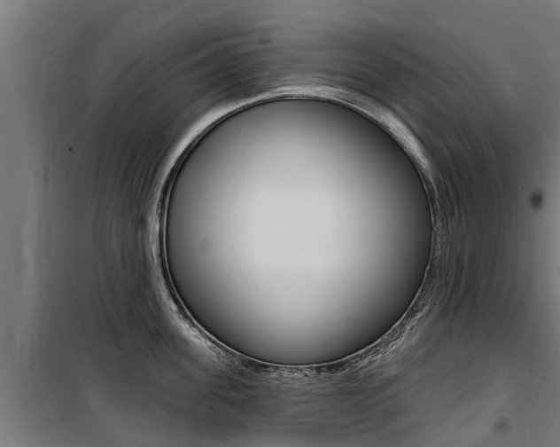 X0000100750955200806190820