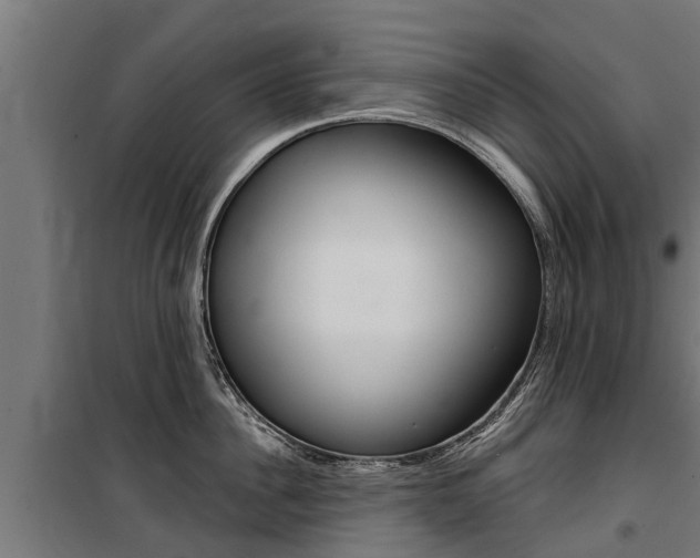 X0000100750956200806190820