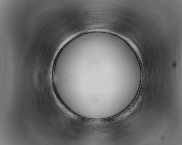 X0000100750957200806190820