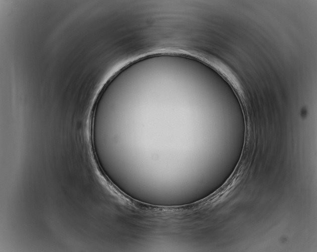 X0000100750958200806190820