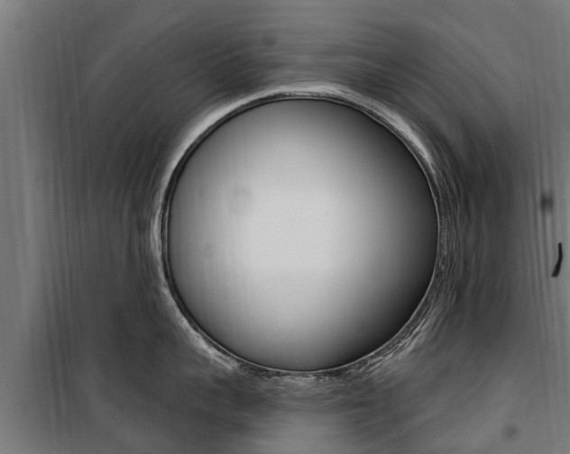 X0000100750959200806190820