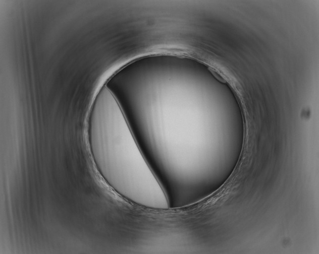 X0000100750960200806190820