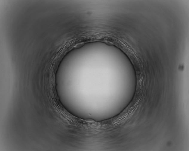 X0000100750961200806190819