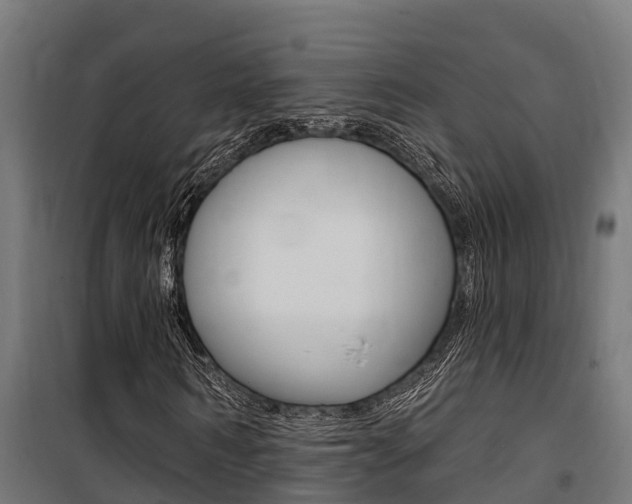 X0000100750962200806190819