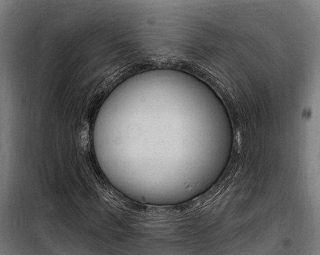 X0000100750963200806190819