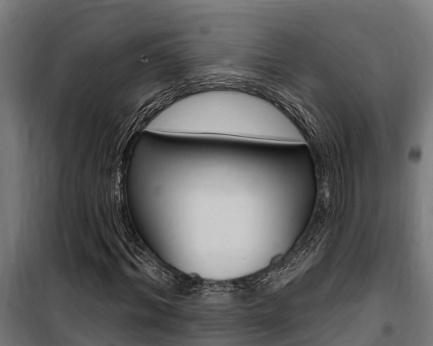 X0000100750964200806190819