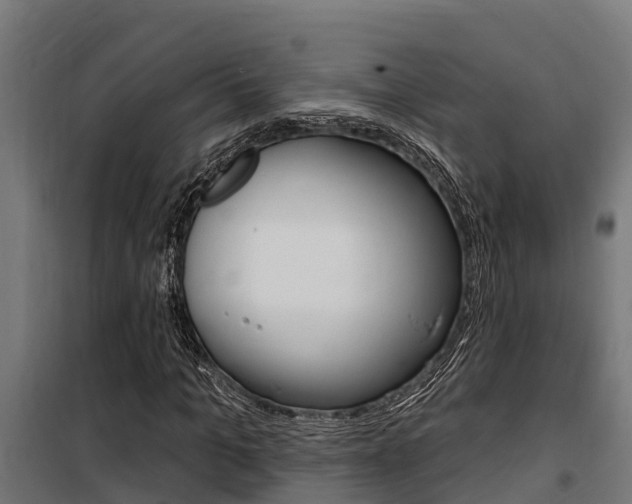 X0000100750965200806190819