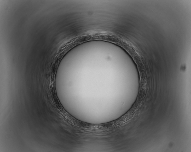 X0000100750966200806190819