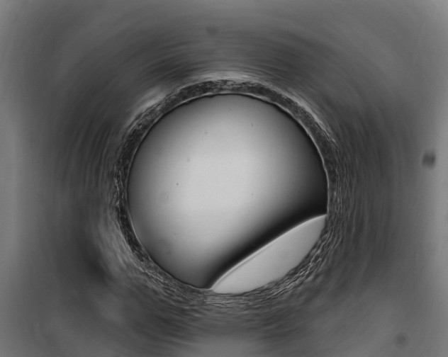 X0000100750967200806190819