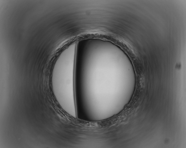 X0000100750968200806190819