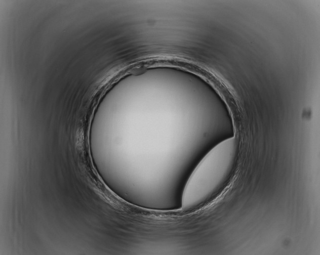 X0000100750969200806190819