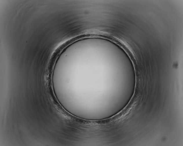 X0000100750971200806190819