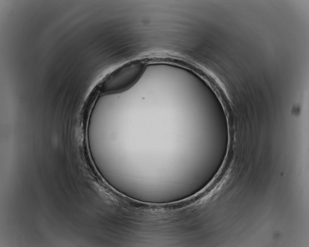 X0000100750973200806190819