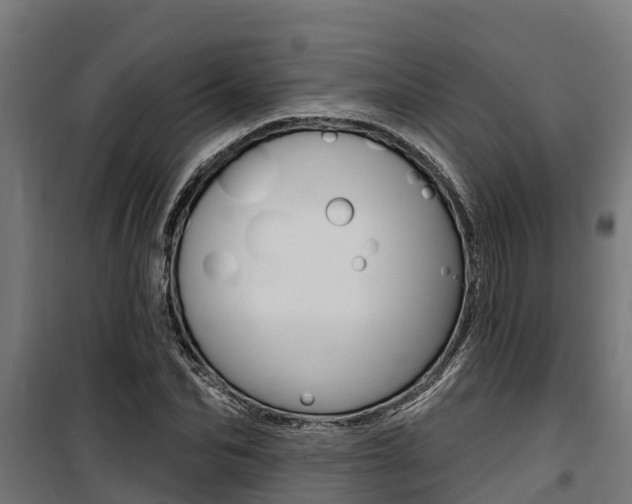 X0000100750974200806190819