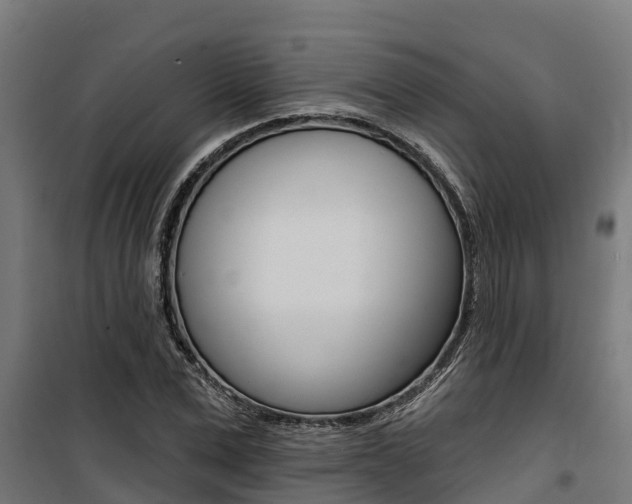 X0000100750975200806190819