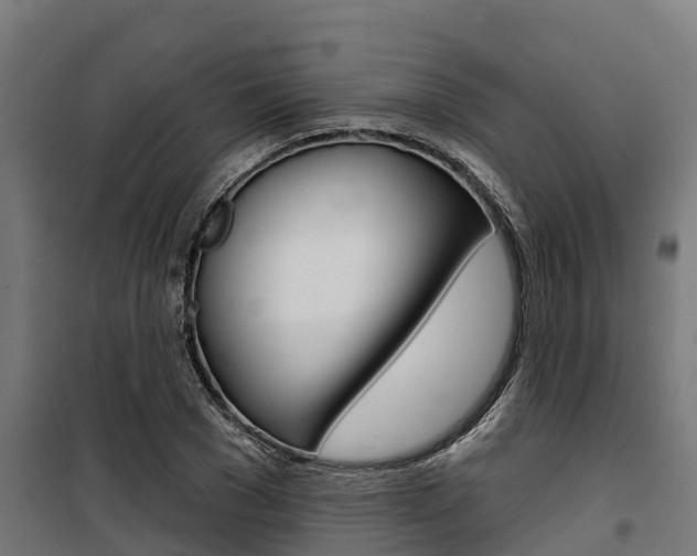X0000100750977200806190819