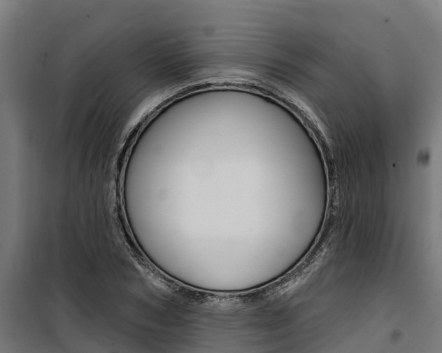 X0000100750978200806190819