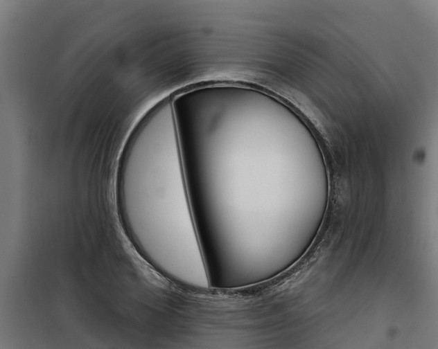 X0000100750980200806190819