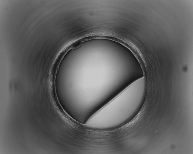 X0000100750981200806190819