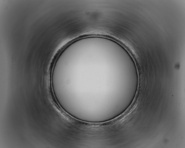 X0000100750982200806190819