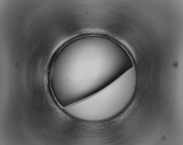 X0000100750983200806190819