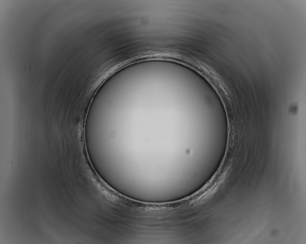X0000100750985200806190819
